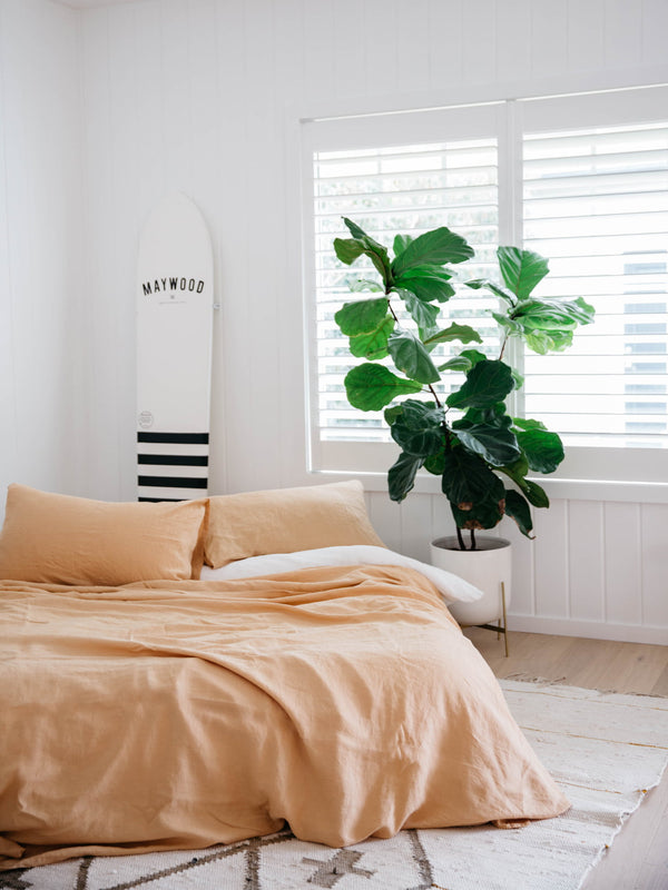 Duvet Apricot